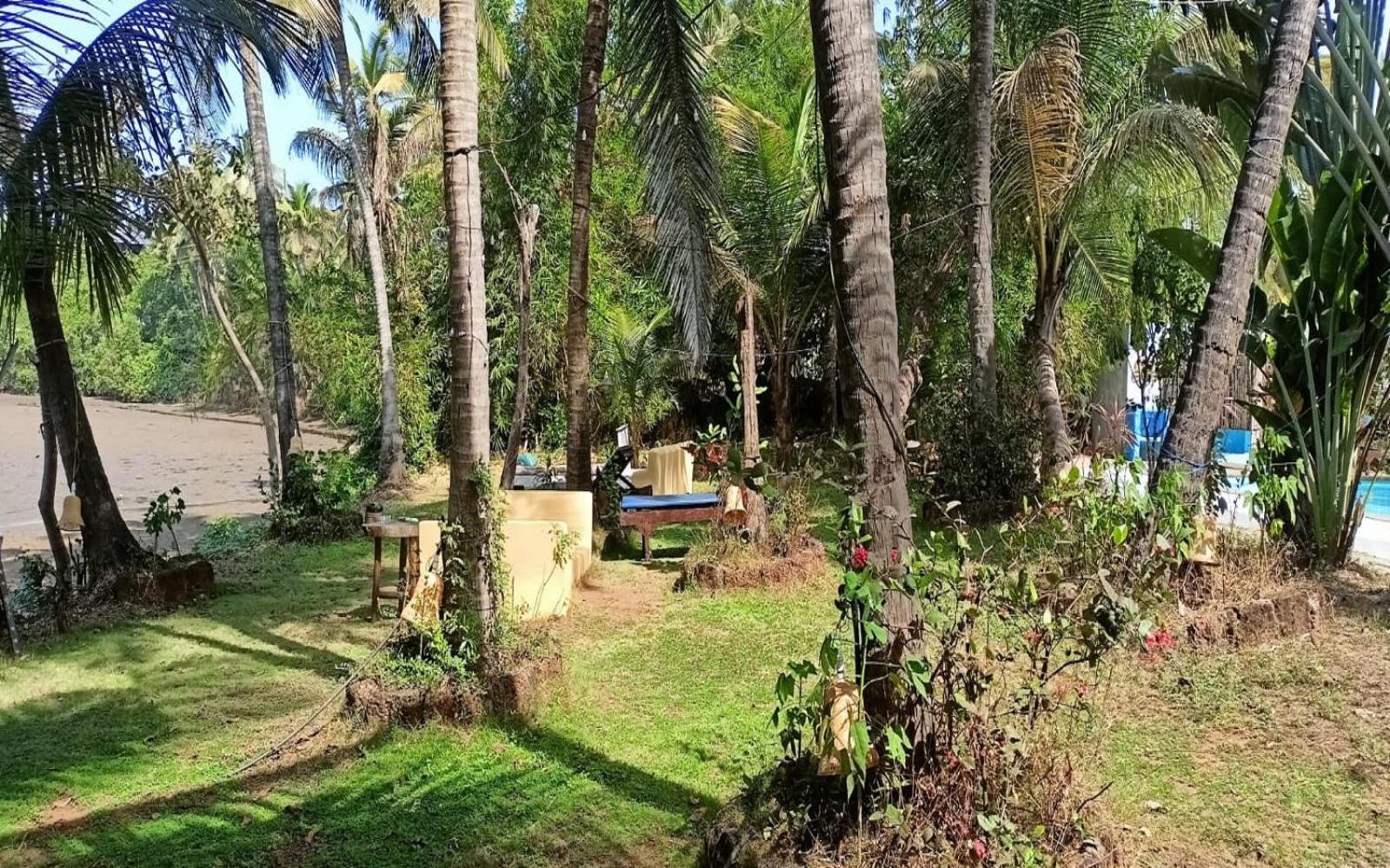 Jamboree Creek Yoga Mandrem Luaran gambar