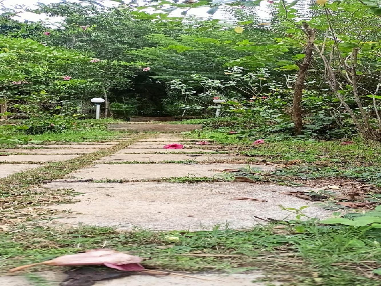 Jamboree Creek Yoga Mandrem Luaran gambar