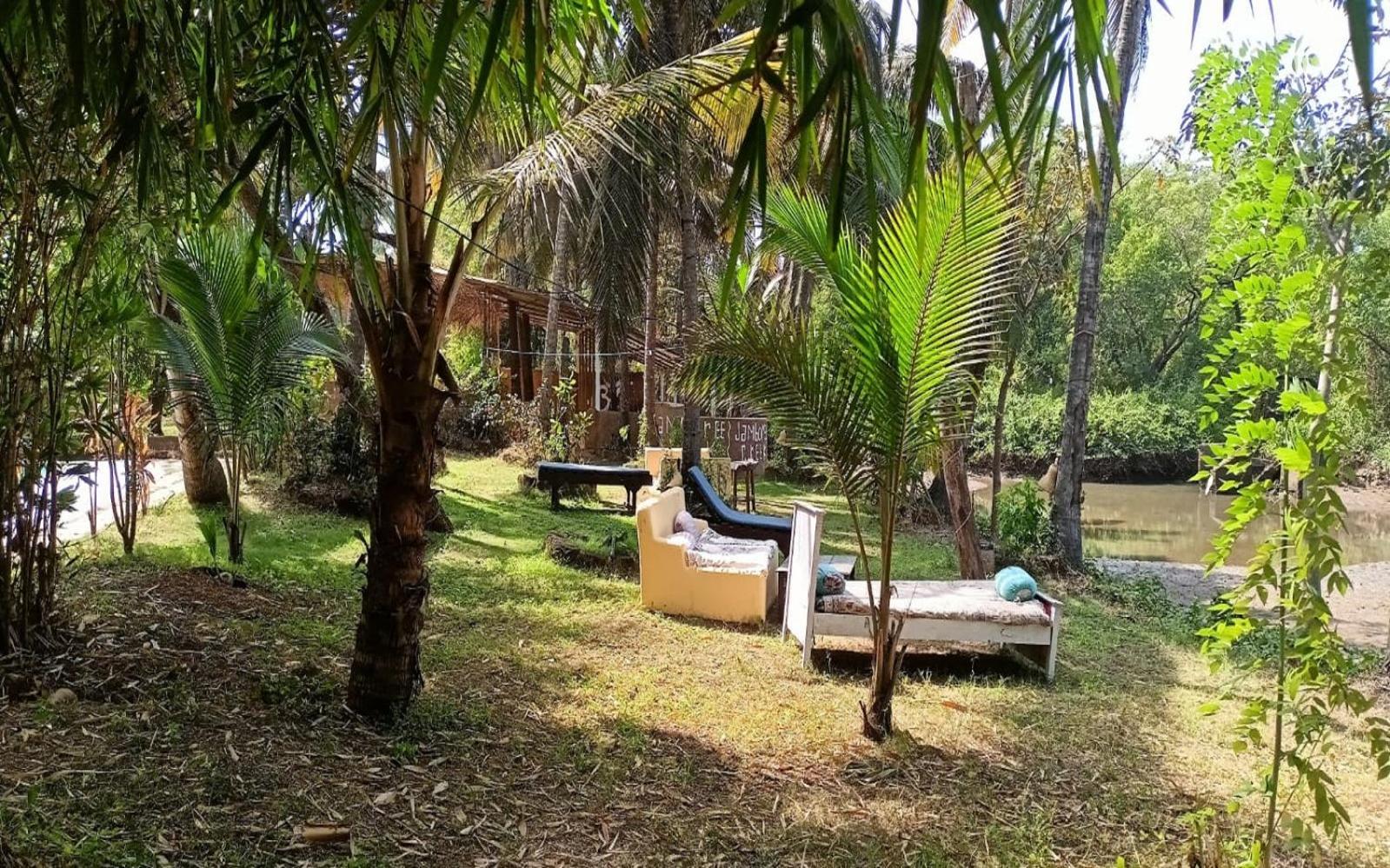 Jamboree Creek Yoga Mandrem Luaran gambar