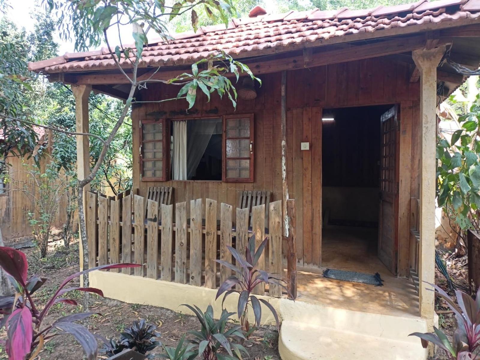 Jamboree Creek Yoga Mandrem Luaran gambar