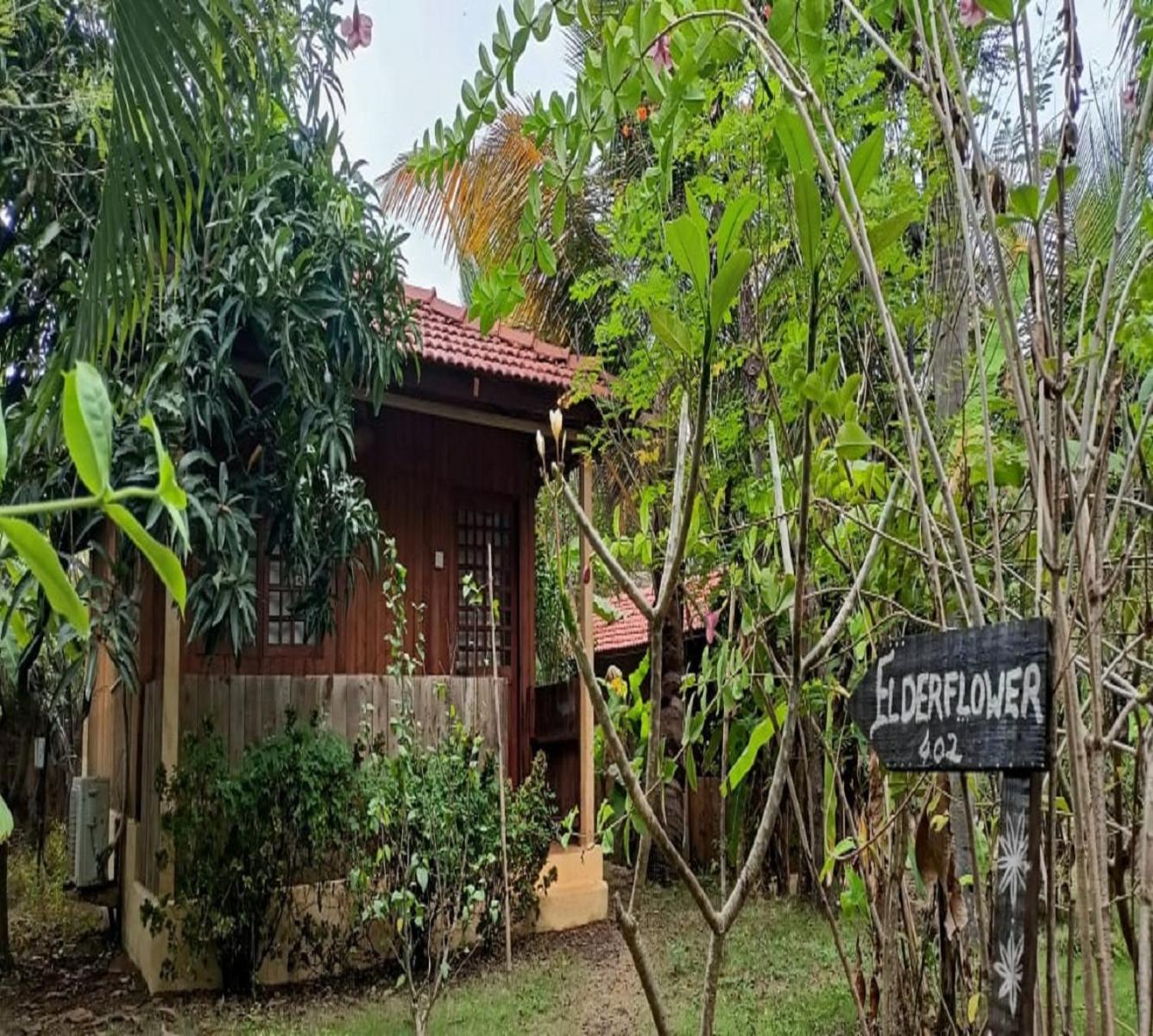 Jamboree Creek Yoga Mandrem Luaran gambar