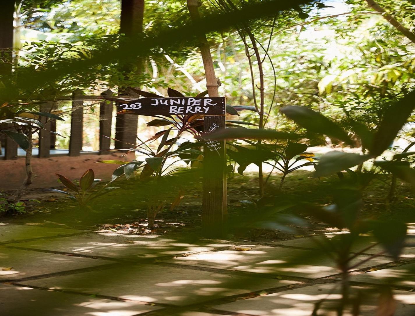 Jamboree Creek Yoga Mandrem Luaran gambar