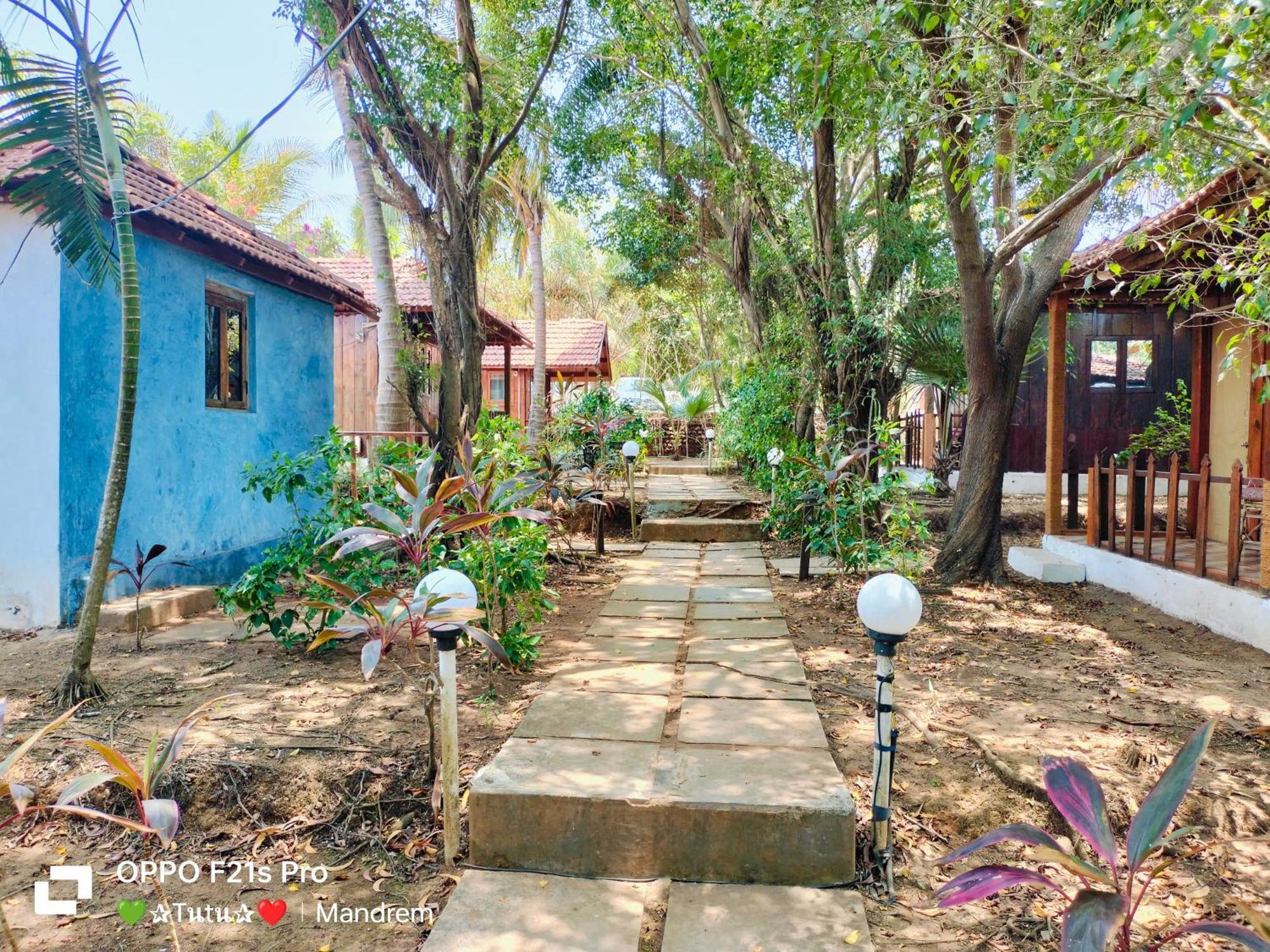 Jamboree Creek Yoga Mandrem Luaran gambar